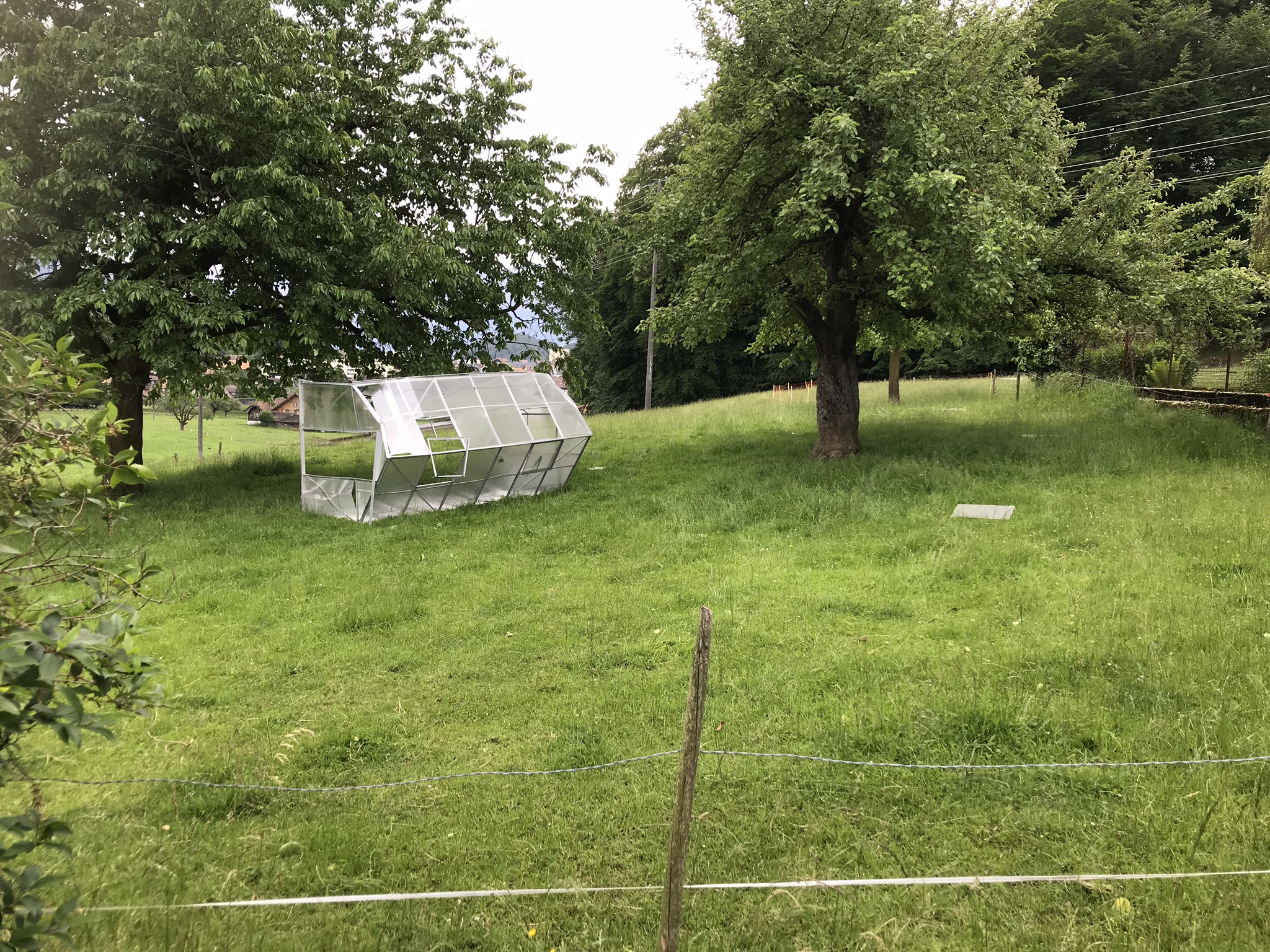 Aufnahme aus der Dokumentation «Gewächshäuser», Mai 2018, aufgenommen mit iPhone 7