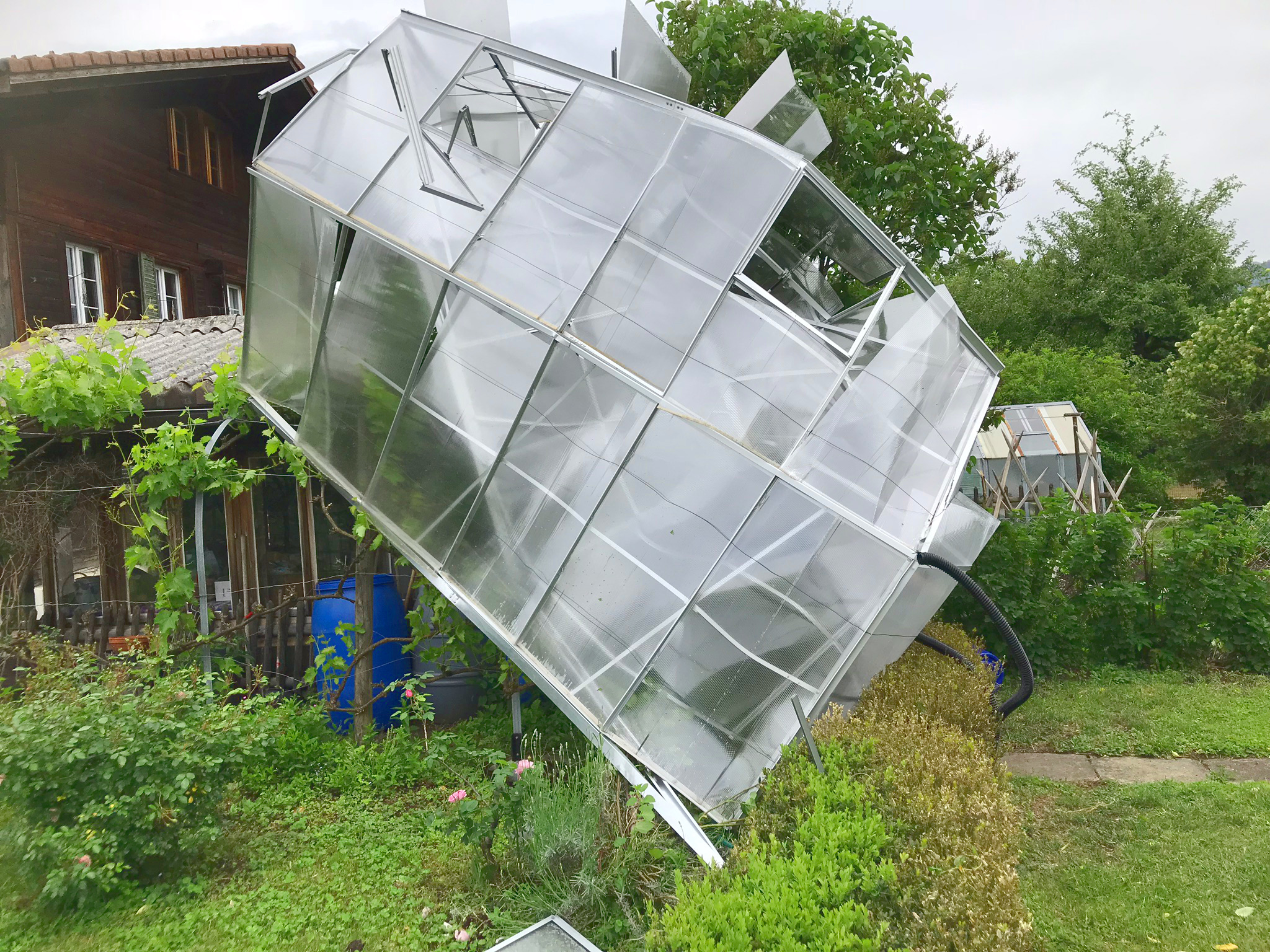 Aufnahme aus der Dokumentation «Gewächshäuser», Mai 2018, aufgenommen mit iPhone 7