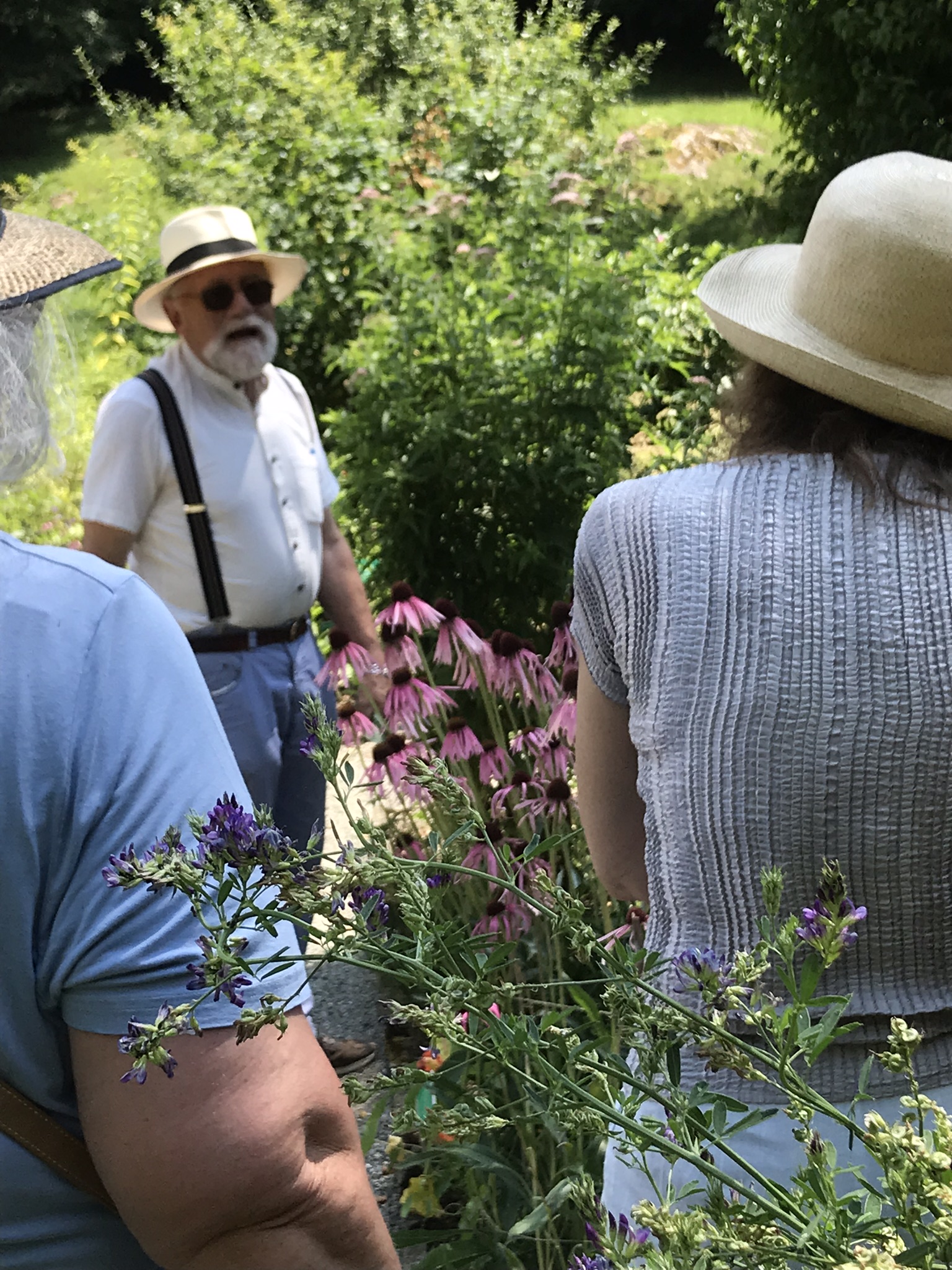 Aufnahme zum Beitrag «Wildkräuterführung Ballenberg», Juli 2018, aufgenommen mit iPhone 7