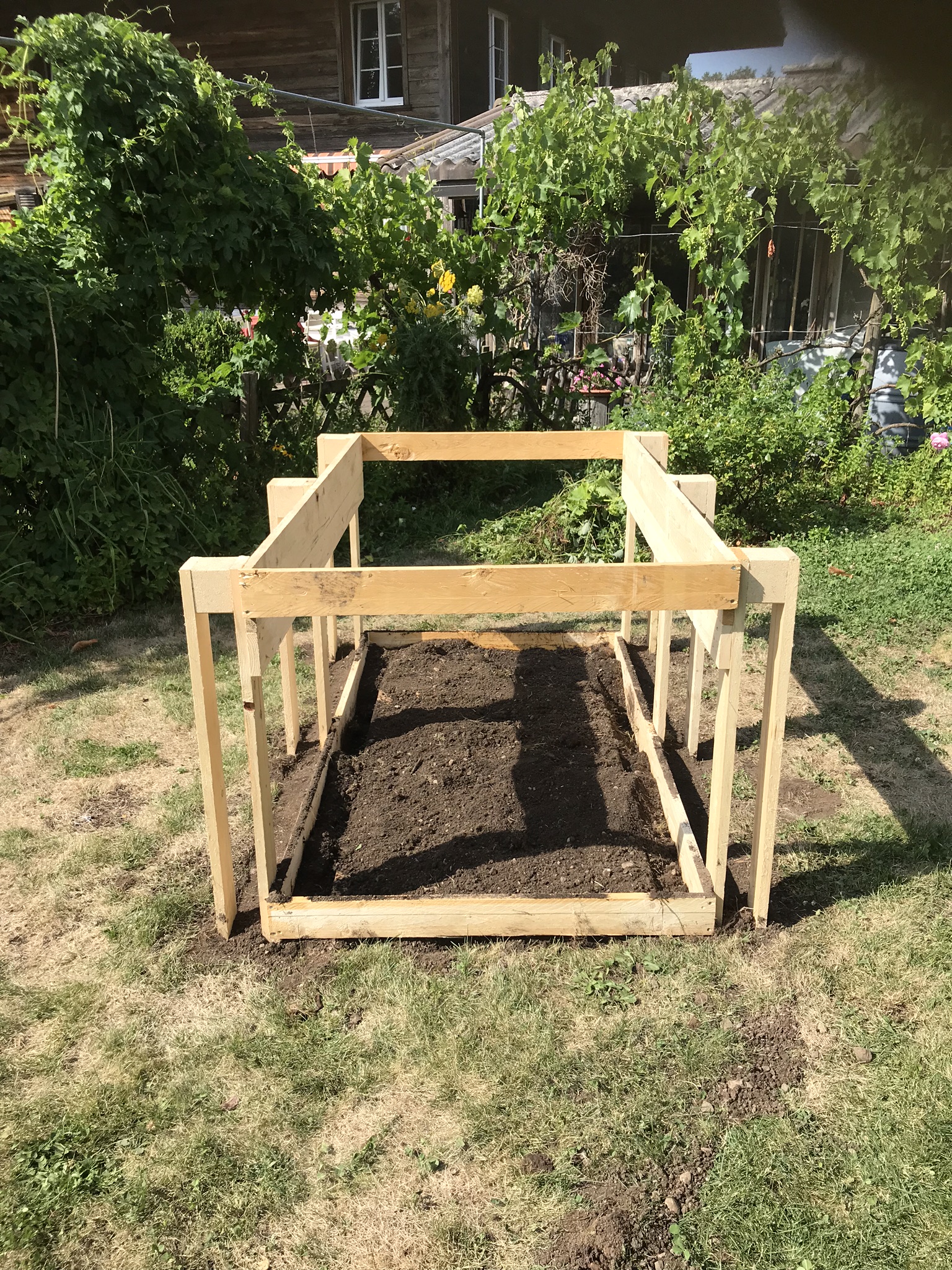 Aufnahme aus der Dokumentation «Hochbeet Schwarzenbach», Juli 2018, aufgenommen mit iPhone 7