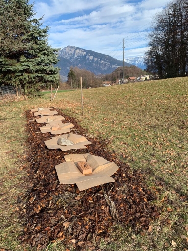 Aufnahme zum Beitrag «Flächenkompost-Beet Schwarzenbach», Bereich Flächenkompost-Beet Schwarzenbach auf e-schmid.ch