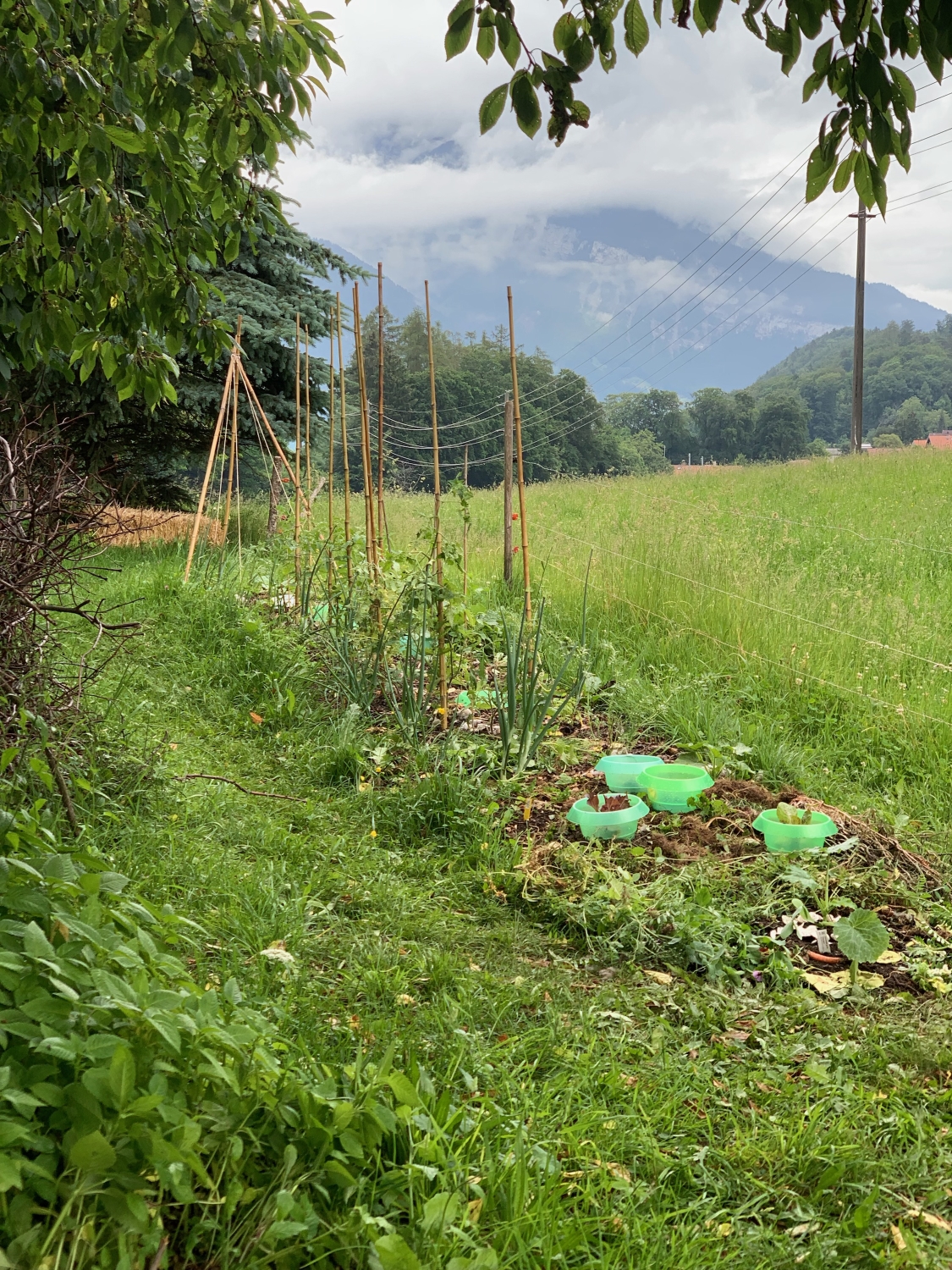 Aufnahme zum Beitrag «Flächenkompost-Beet Schwarzenbach», Bereich Flächenkompost-Beet Schwarzenbach auf e-schmid.ch