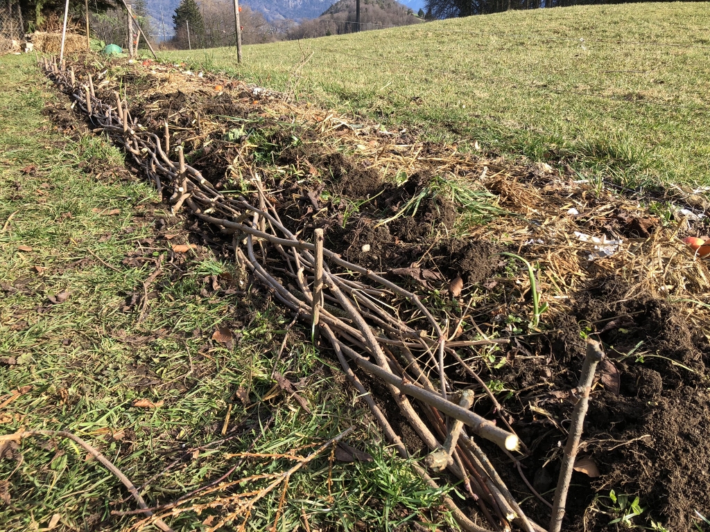 Aufnahme zum Beitrag «Flächenkompost-Beet Schwarzenbach», Februar 2020, aufgenommen mit iPhone 8