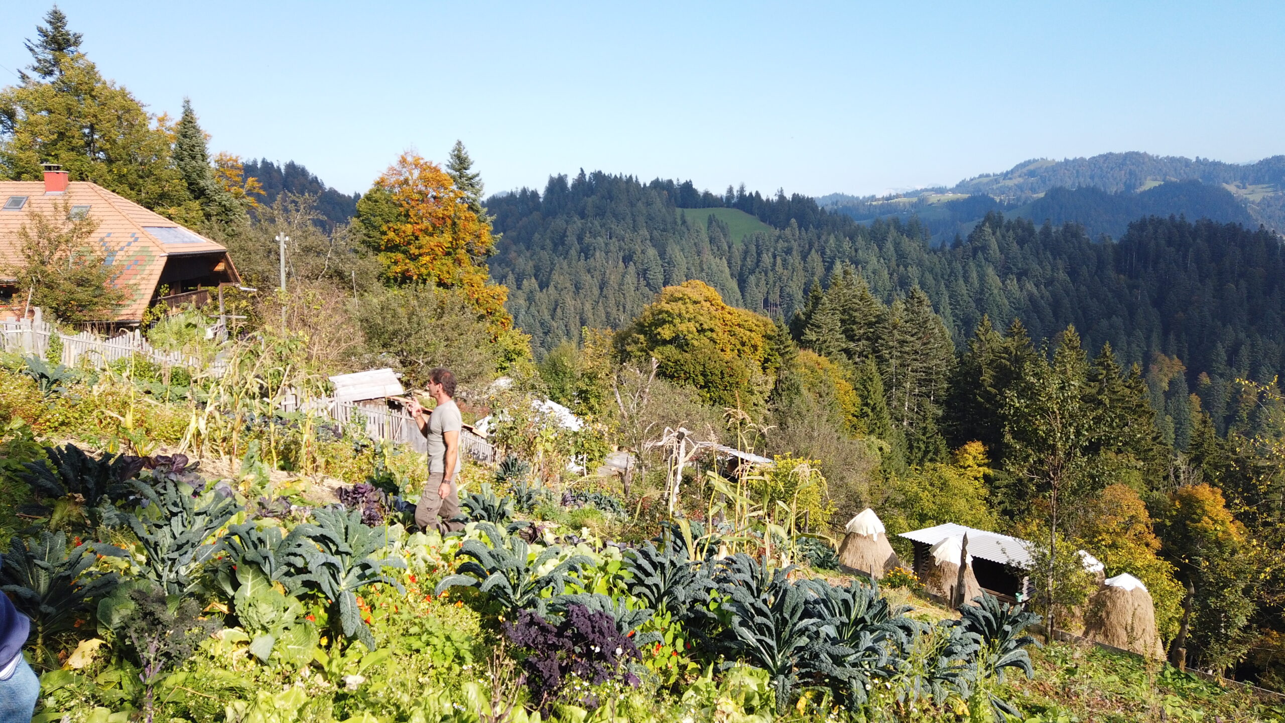 Balmeggberggarten