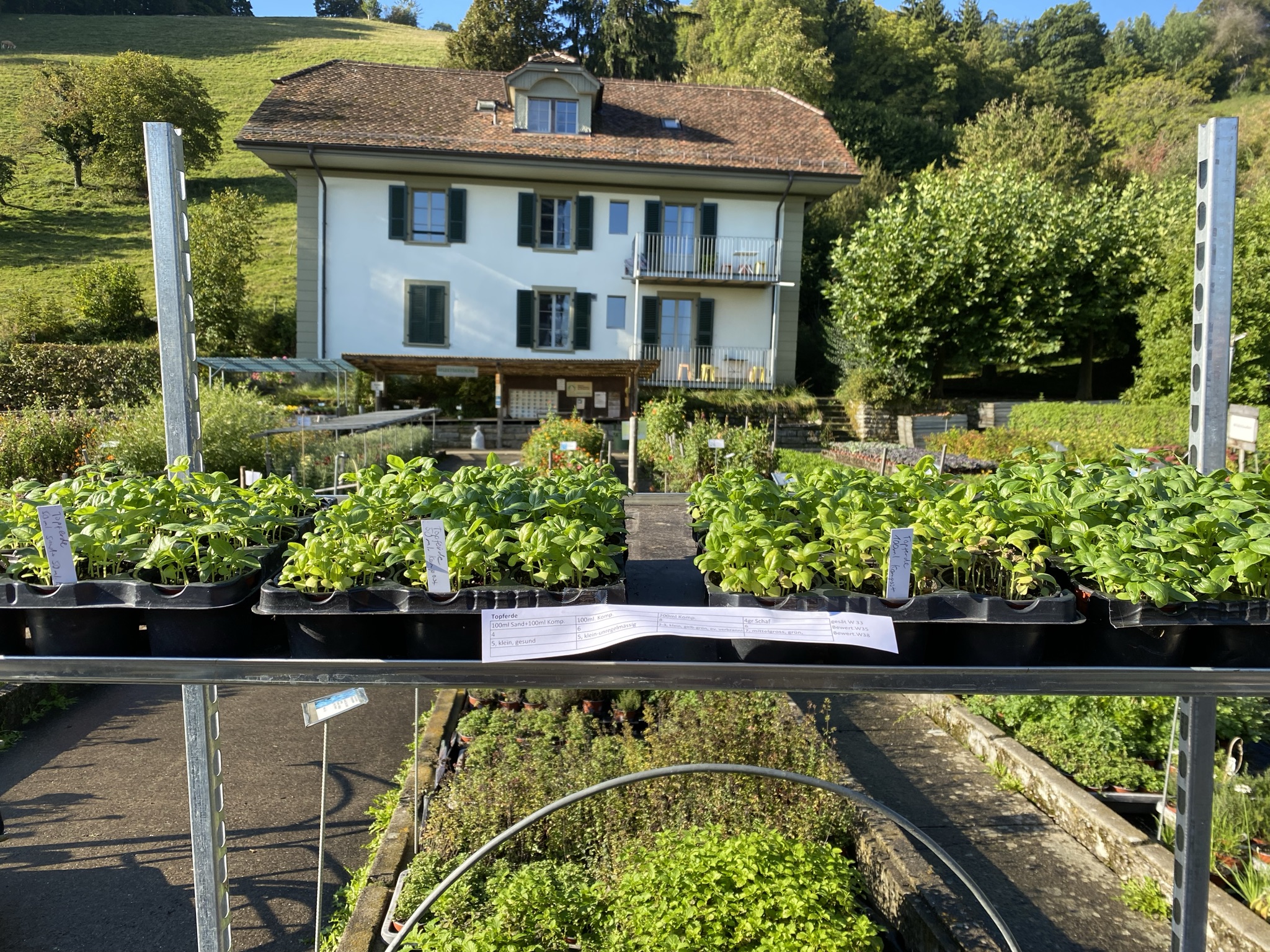 Morgensaufnahme aus der Dokumentation «Besuch Bio-Gemüsehof Bächtelen», September 2021