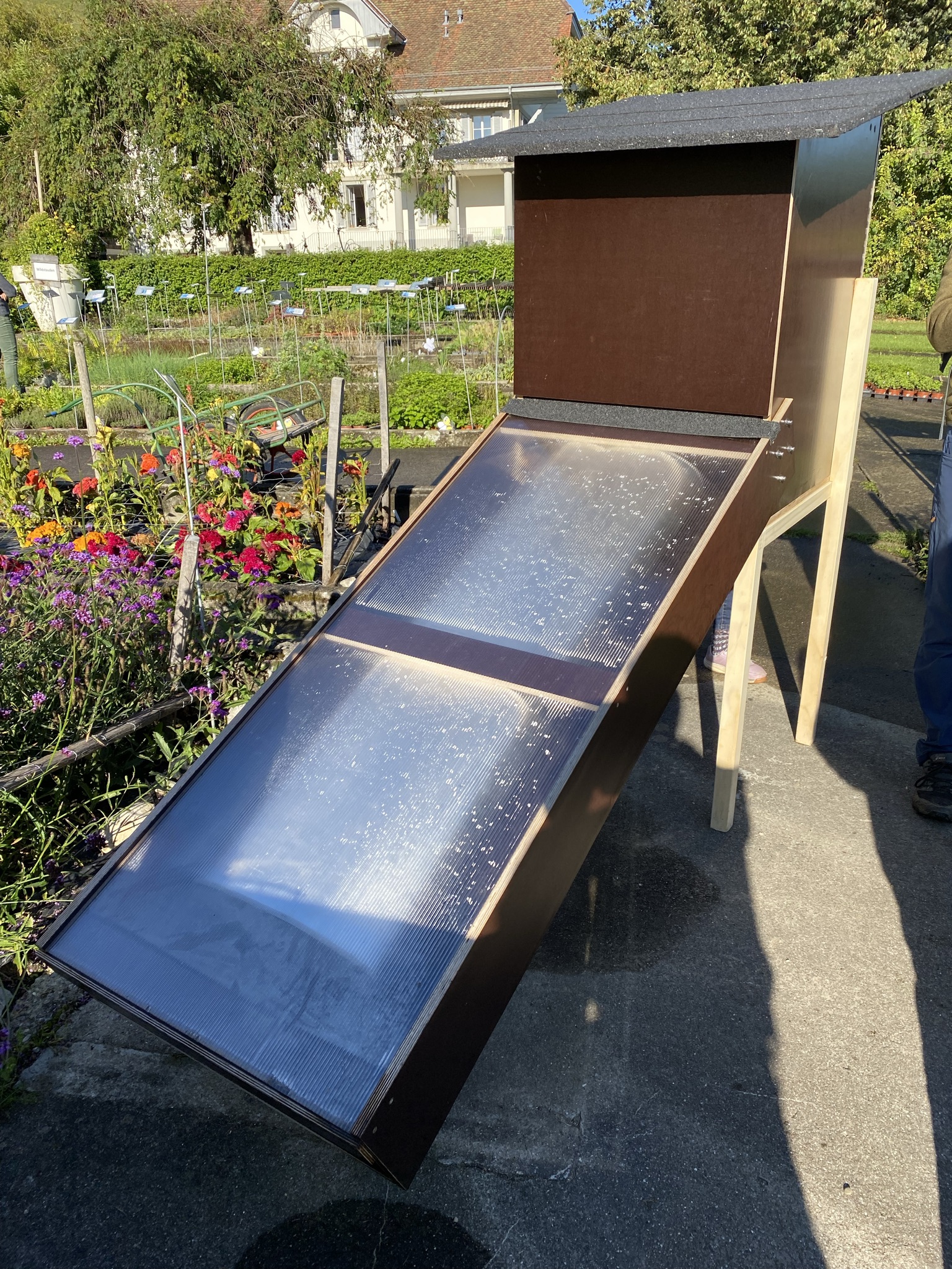 Morgensaufnahme aus der Dokumentation «Besuch Bio-Gemüsehof Bächtelen», September 2021