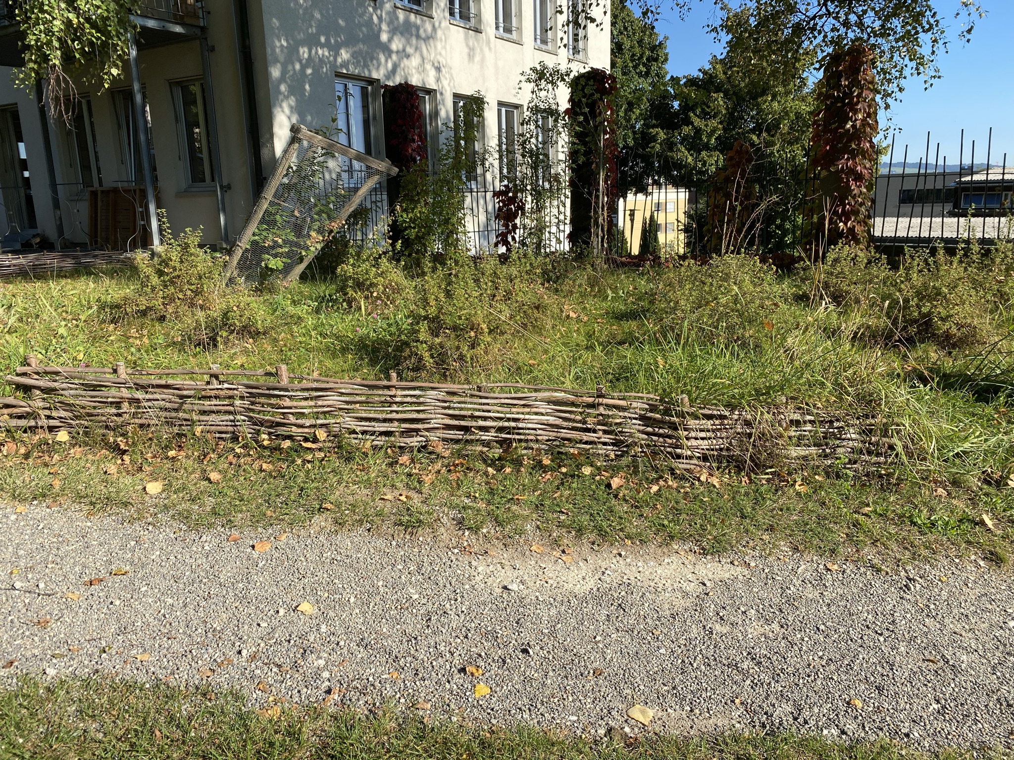 Aufnahme aus der Dokumentation «Besuch Bio-Gemüsehof Bächtelen», September 2021, aufgenommen mit iPhone 11