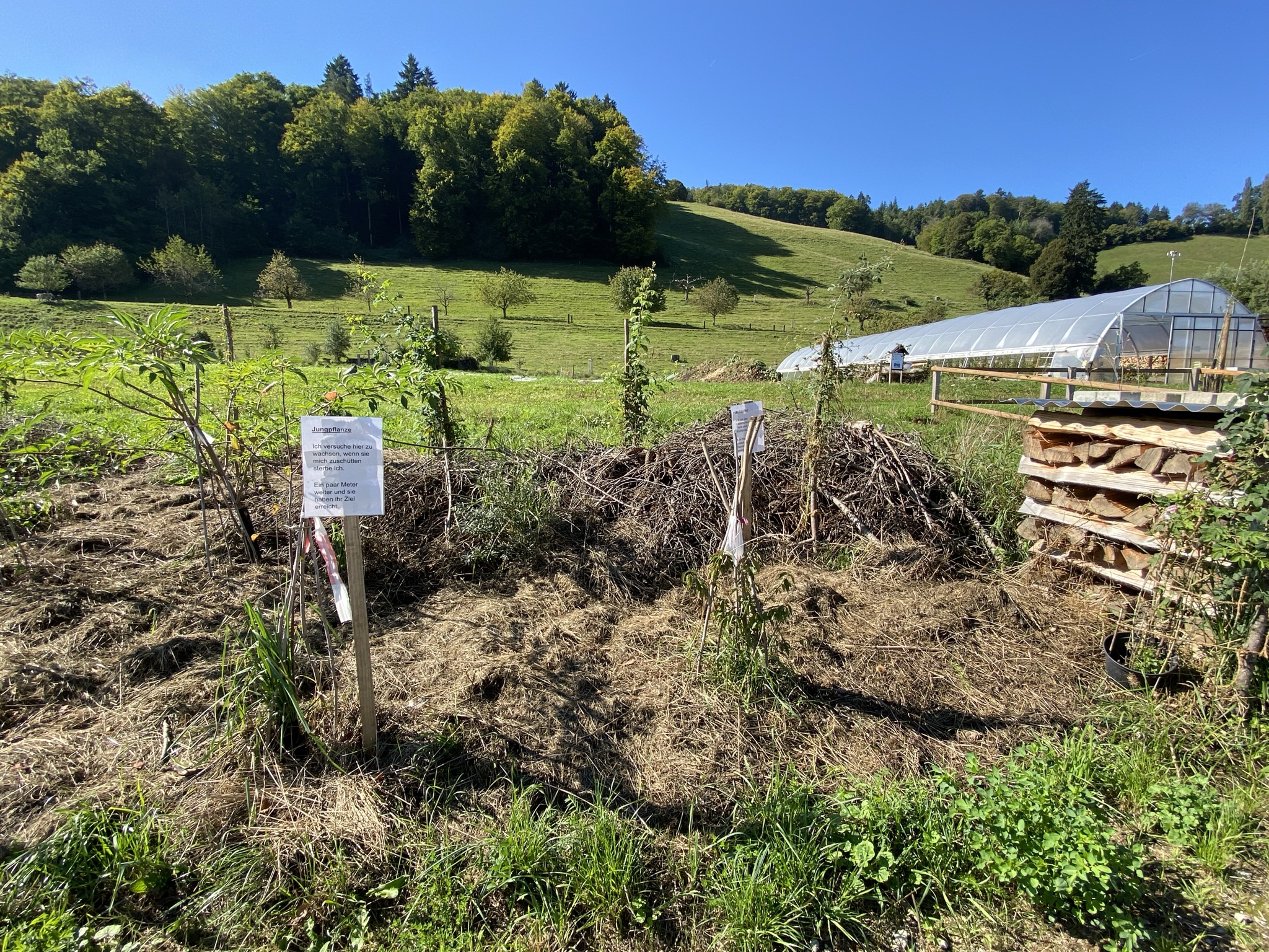 Aufnahme aus der Dokumentation «Besuch Bio-Gemüsehof Bächtelen», September 2021, aufgenommen mit iPhone 11