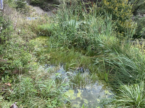 Aufnahme aus der Dokumentation «Inspirations- und Planungsreise…», September 2021