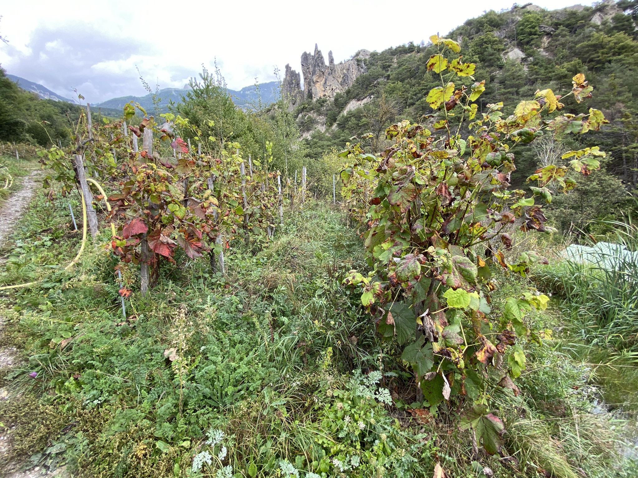 Aufnahme aus der Dokumentation «Inspirations- und Planungsreise…», September 2021