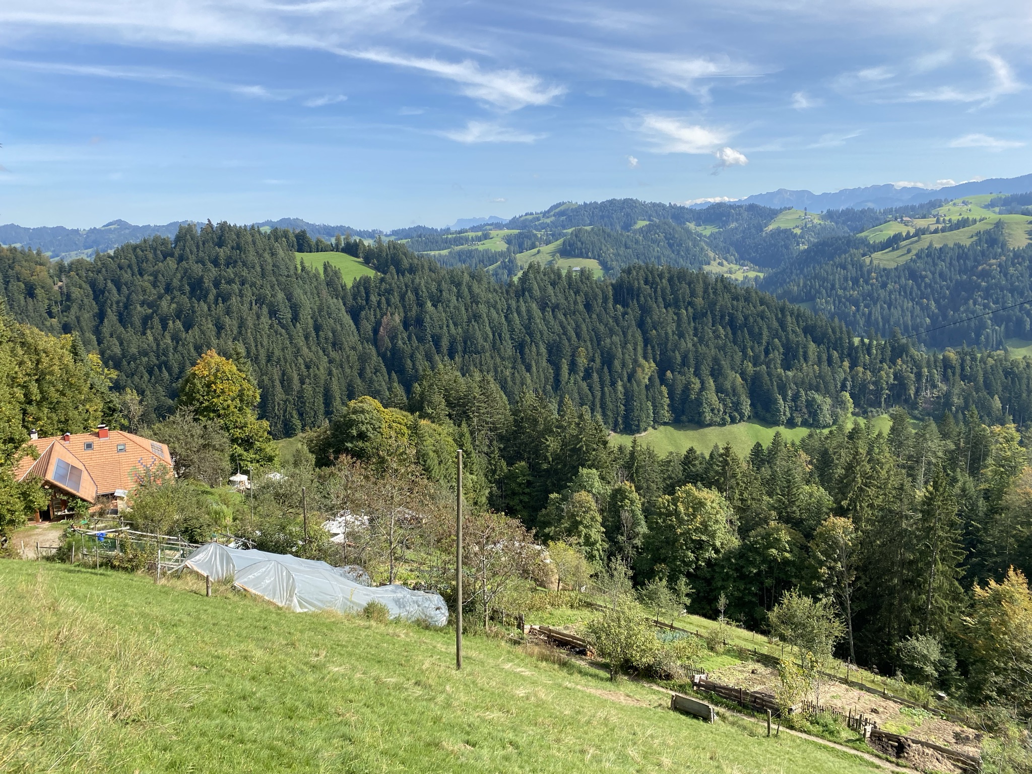 Aufnahme aus der Dokumentation «Selbstversorger Permakultur…», Oktober 2021, aufgenommen mit iPhone 11