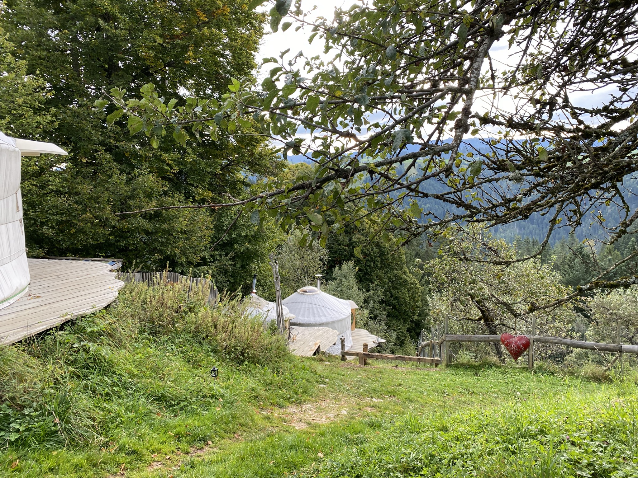 Morgensaufnahme aus der Dokumentation «Selbstversorger Permakultur…», Oktober 2021