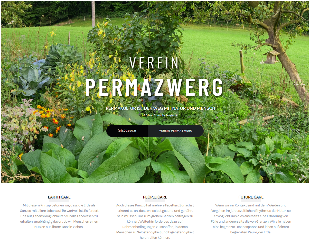 Screenshot der Startseite von Permazwerg.ch zum Zeitpunkt des Launches, Webseiten-Aufbau