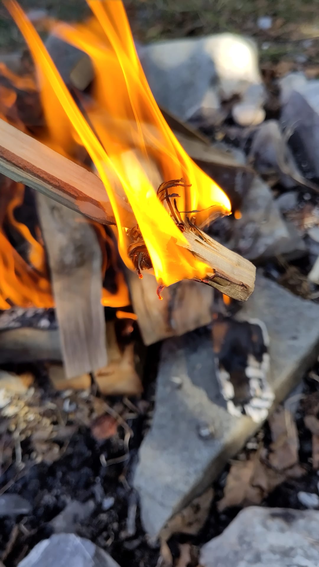 Dokumentationsbild aus dem Beitrag «Erlebniskurs «Bushcraft, Survival…», importiert ohne EXIF-Daten