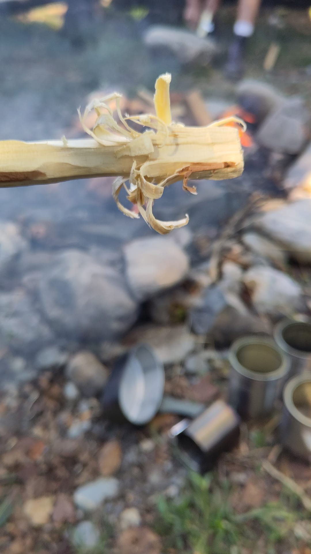Dokumentationsbild aus dem Beitrag «Erlebniskurs «Bushcraft, Survival…», importiert ohne EXIF-Daten