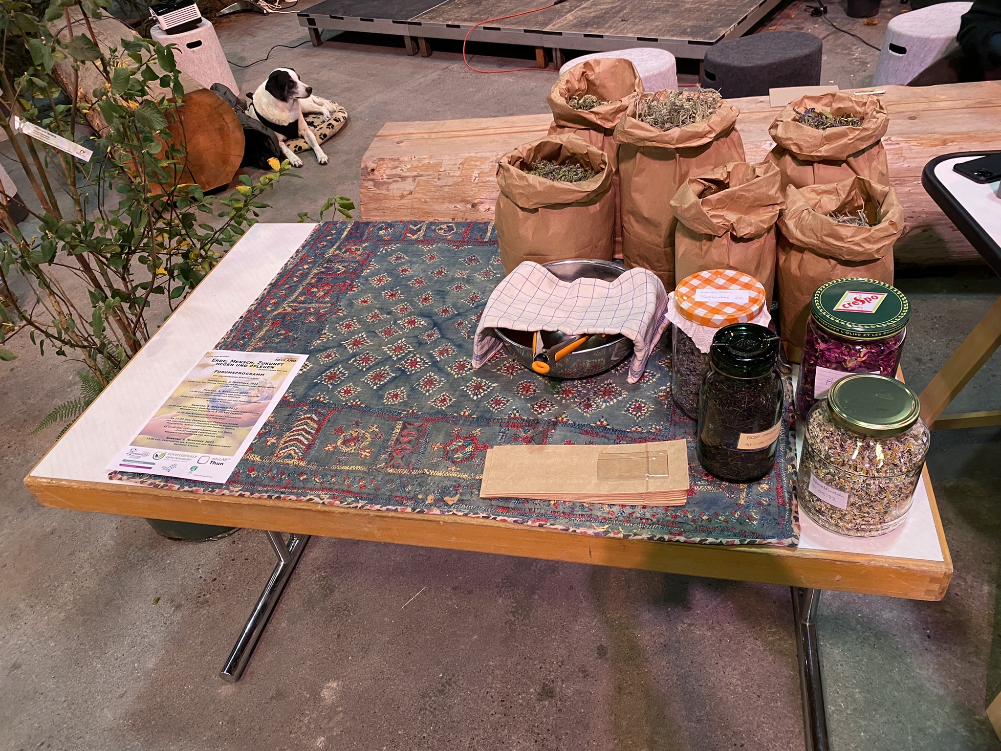Aufnahme aus der Dokumentation «Neuland-Ausstellung in Thun mit der…», November 2022