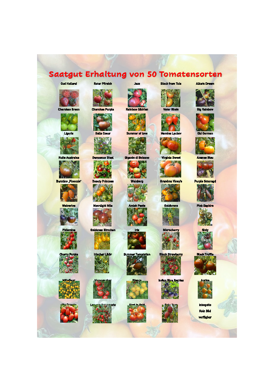 Flyer oder Plakat: 50 Tomaten Plakat — digitale Ankündigung für eine Veranstaltung