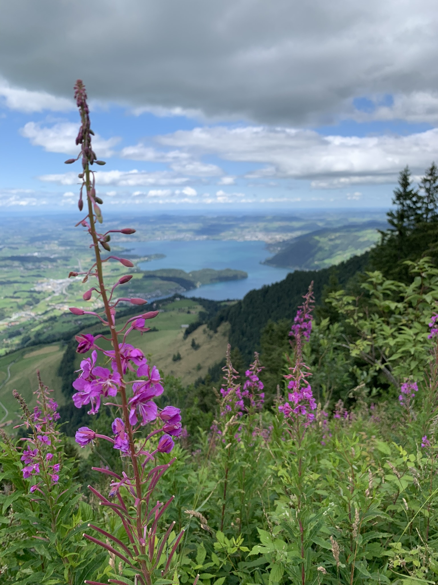 Dokumentationsbild aus dem Beitrag «Kurzurlaub im Kräuterhotel Edelweiss…», importiert ohne EXIF-Daten