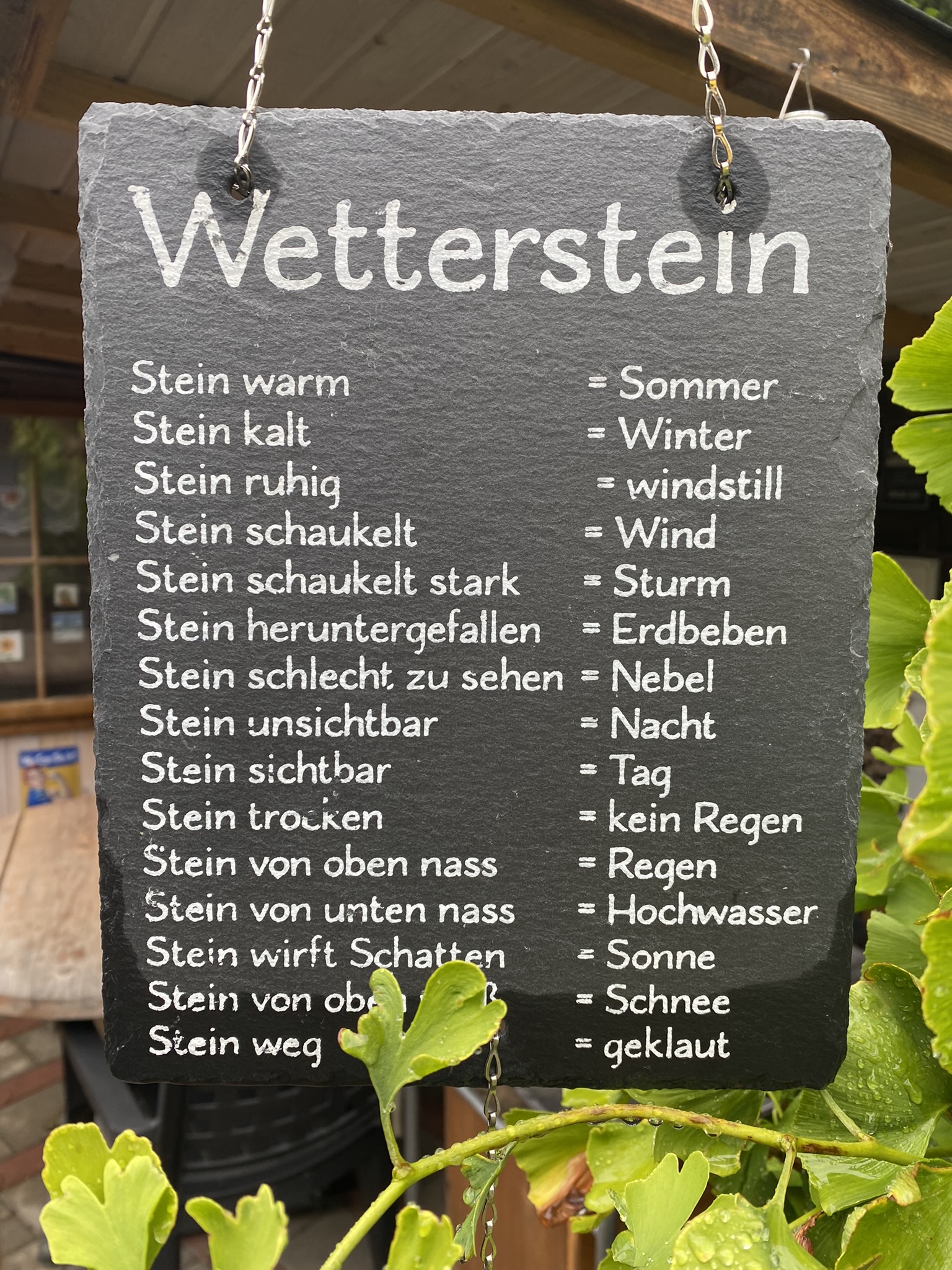 Aufnahme aus der Dokumentation «Permakultur Festival 2023 auf dem…», August 2023