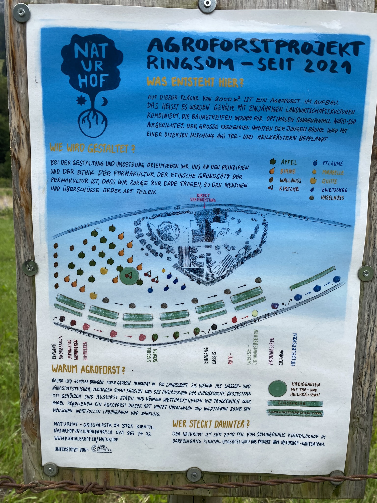 Aufnahme aus der Dokumentation «Permakultur Festival 2023 auf dem…», August 2023