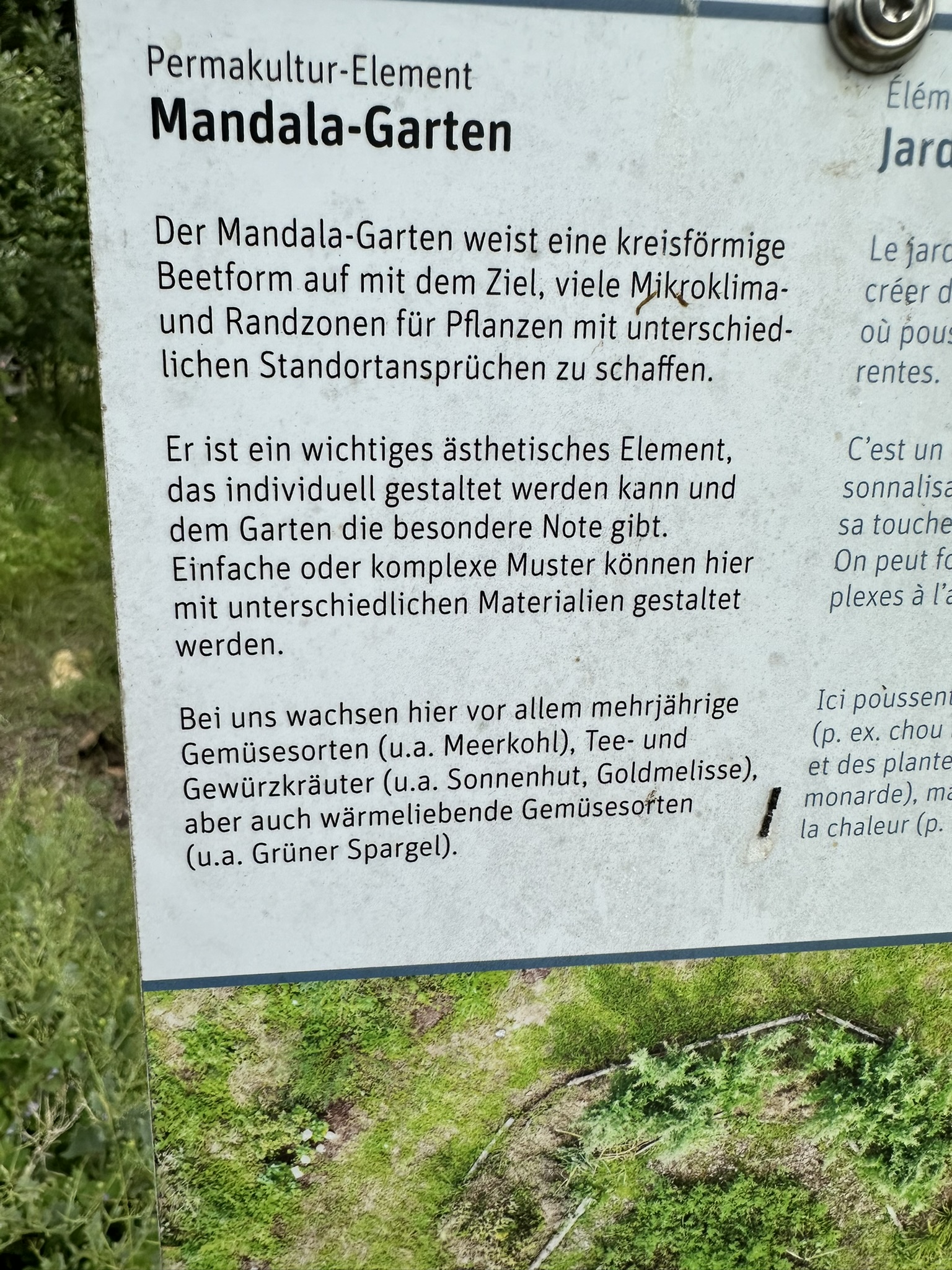 Aufnahme aus der Dokumentation «HAFL: Führung Wald- und Feldgarten…», Juni 2024, aufgenommen mit iPhone 14 Pro