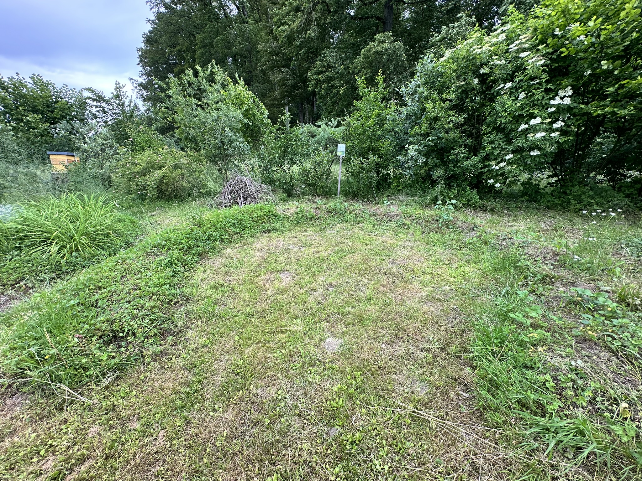 Aufnahme aus der Dokumentation «HAFL: Führung Wald- und Feldgarten…», Juni 2024, aufgenommen mit iPhone 14 Pro