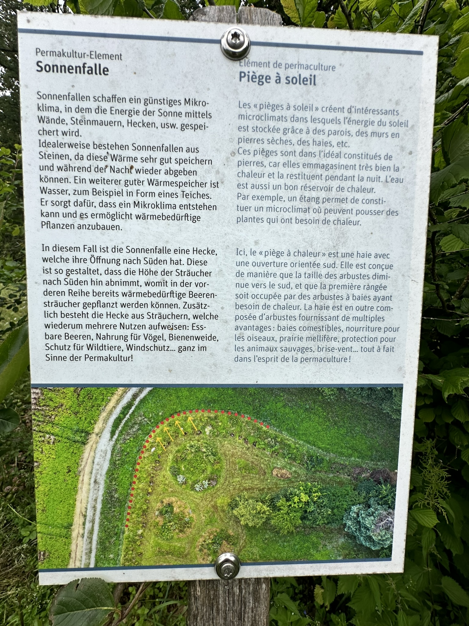 Aufnahme aus der Dokumentation «HAFL: Führung Wald- und Feldgarten…», Juni 2024, aufgenommen mit iPhone 14 Pro