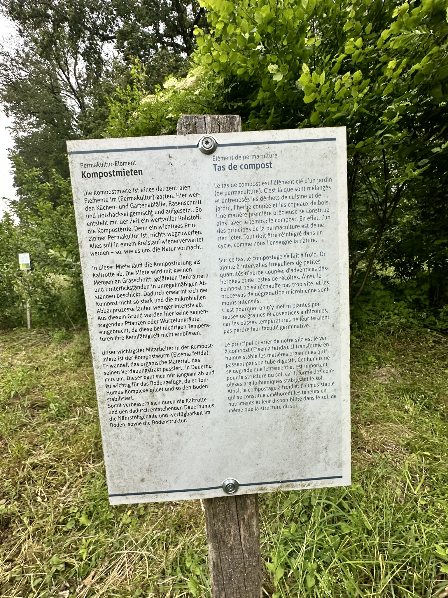 Aufnahme aus der Dokumentation «HAFL: Führung Wald- und Feldgarten…», Juni 2024, aufgenommen mit iPhone 14 Pro
