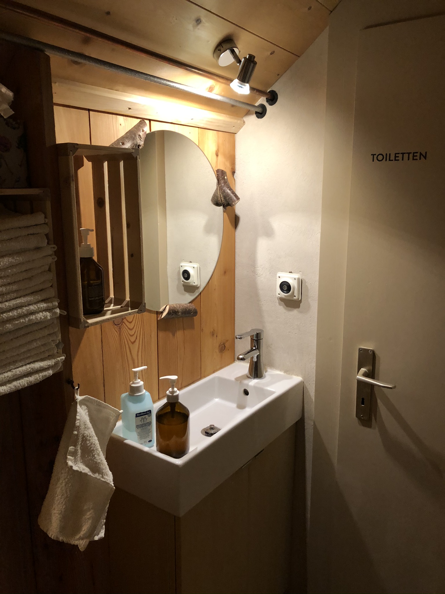 Aufnahme aus der Dokumentation «Rebecca Clopath Lohn (GR)», Juli 2020, aufgenommen mit iPhone 8