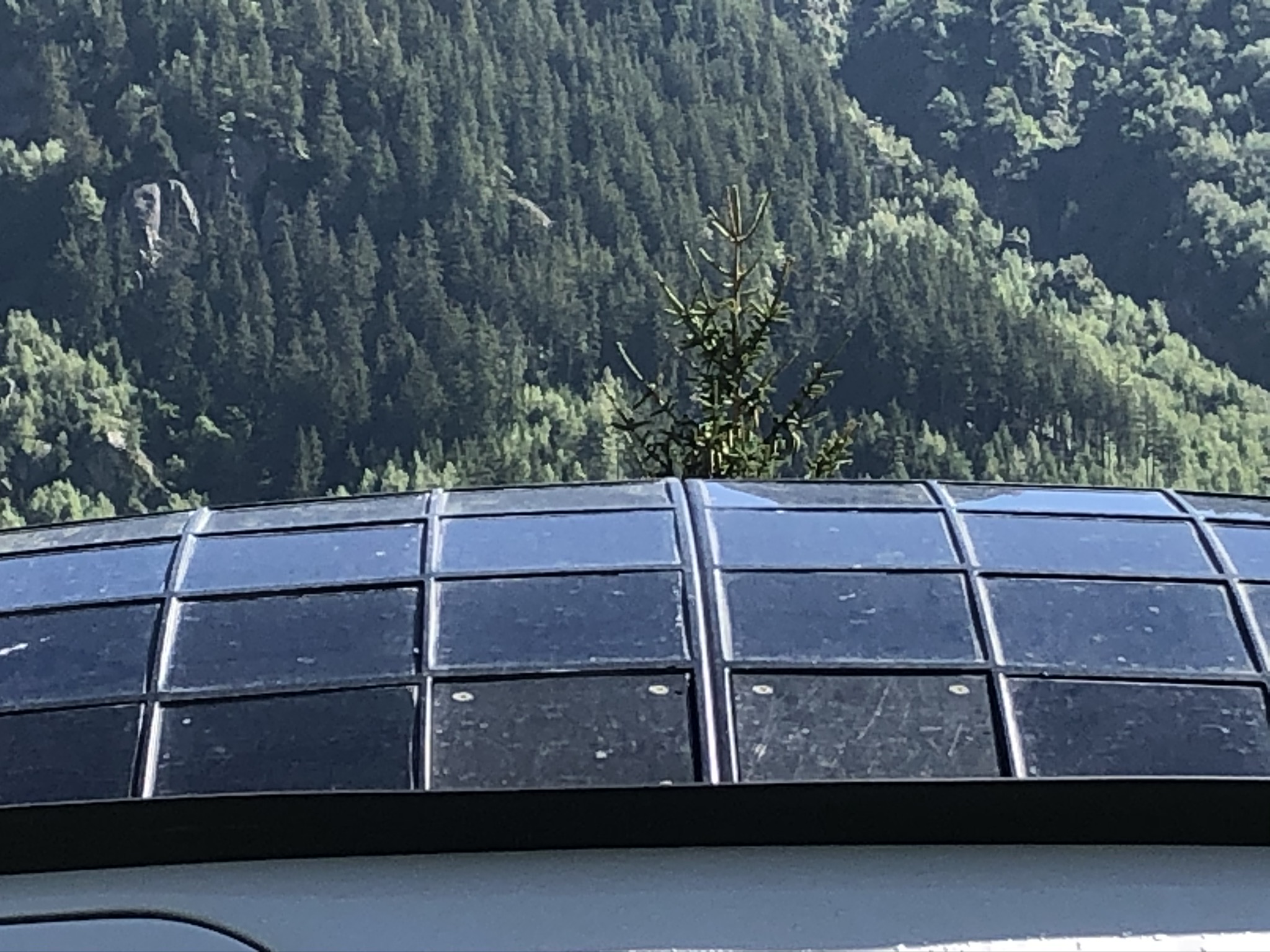 Aufnahme aus der Dokumentation «Ecocapsule Guttannen», August 2020, aufgenommen mit iPhone 8