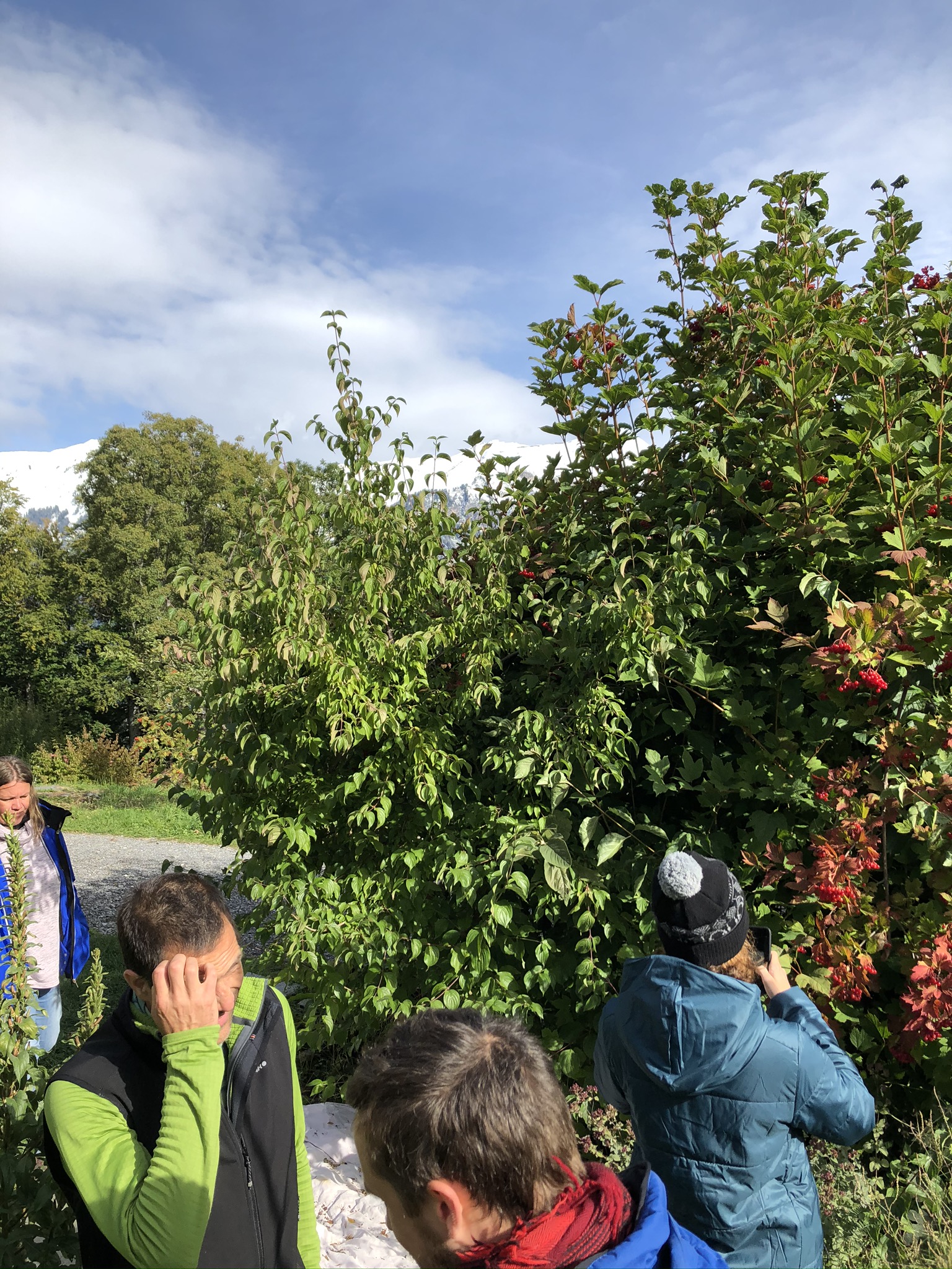 Aufnahme aus der Dokumentation «PDC Modul 1 Planofuturo – Schweibenalp», September 2020