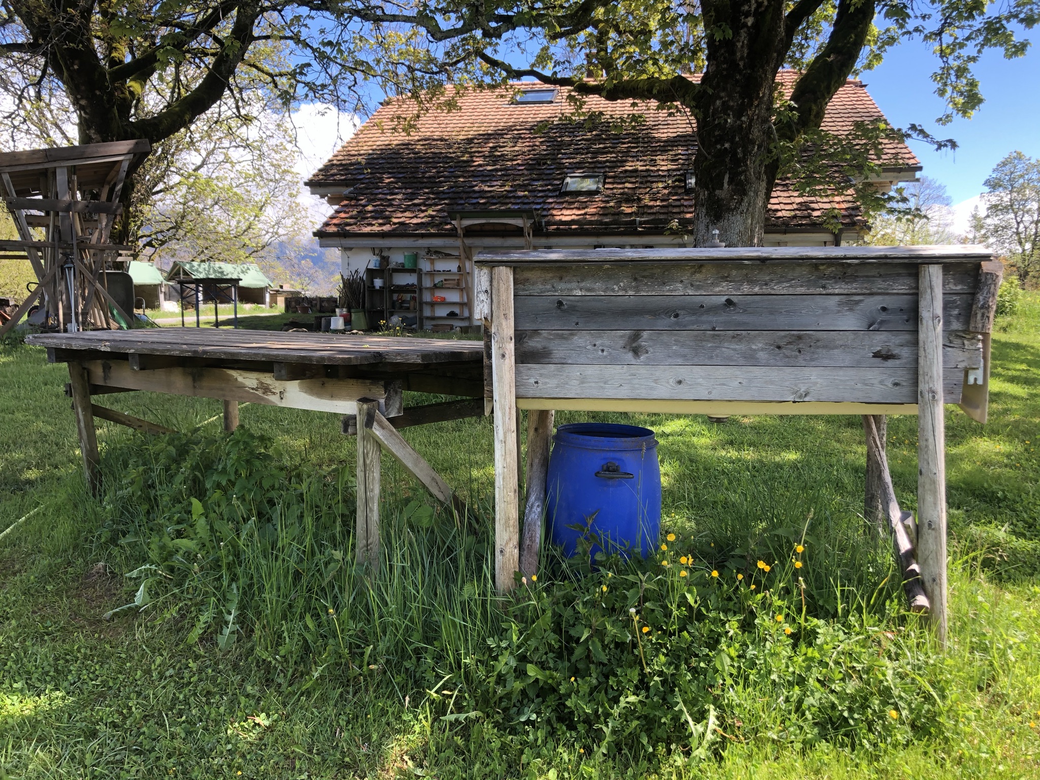 Aufnahme aus der Dokumentation «PDC Modul 4 Planofuturo – Schweibenalp», Mai 2021