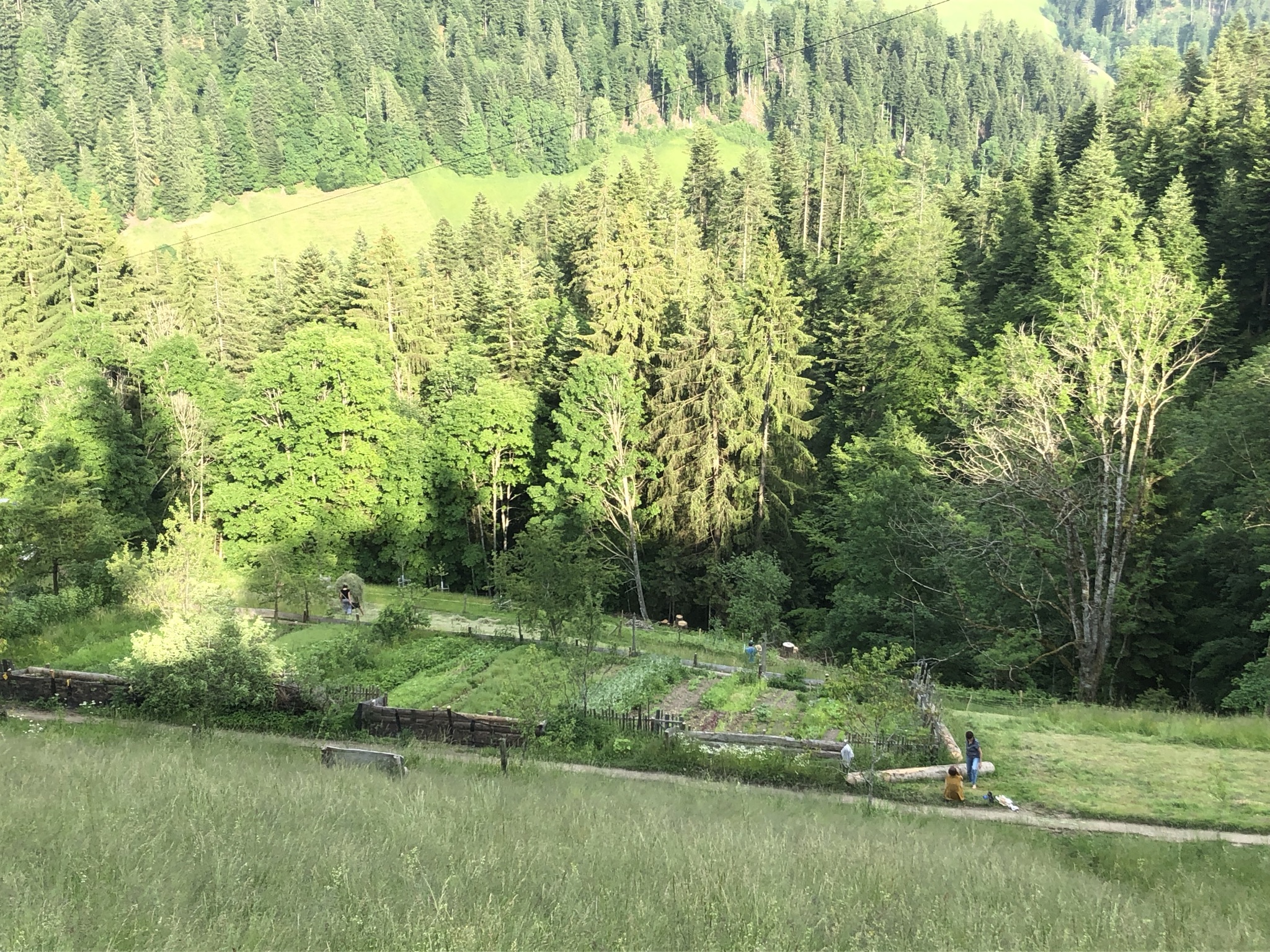 Abendsaufnahme aus der Dokumentation «PDC Modul 5 Planofuturo – Balmeggberg», Juni 2021