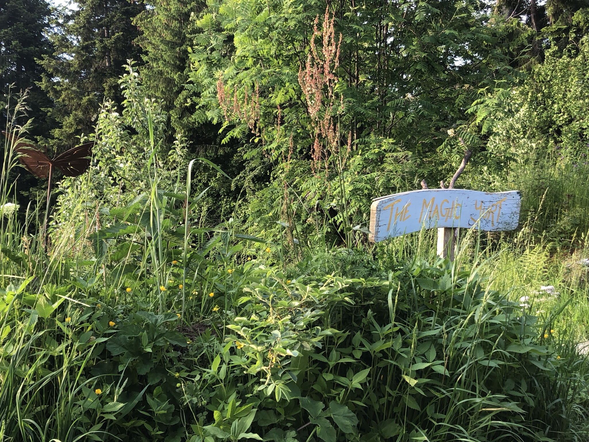 Abendsaufnahme aus der Dokumentation «PDC Modul 5 Planofuturo – Balmeggberg», Juni 2021