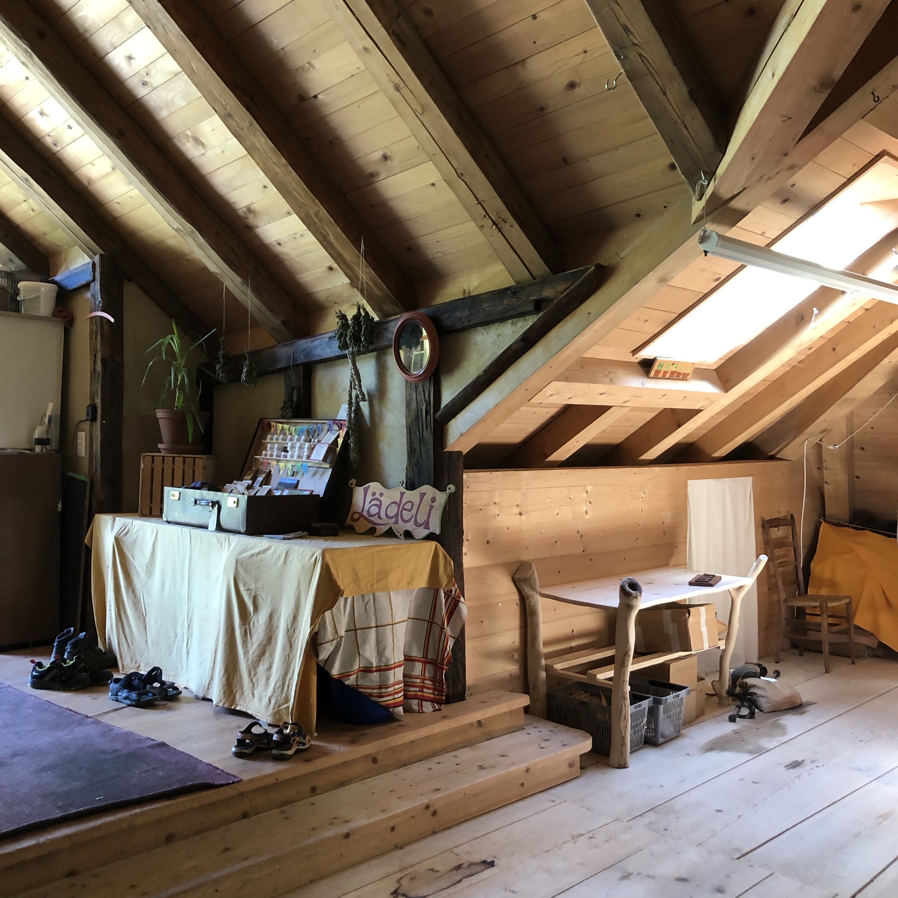 Aufnahme aus der Dokumentation «PDC Modul 5 Planofuturo – Balmeggberg», Juni 2021