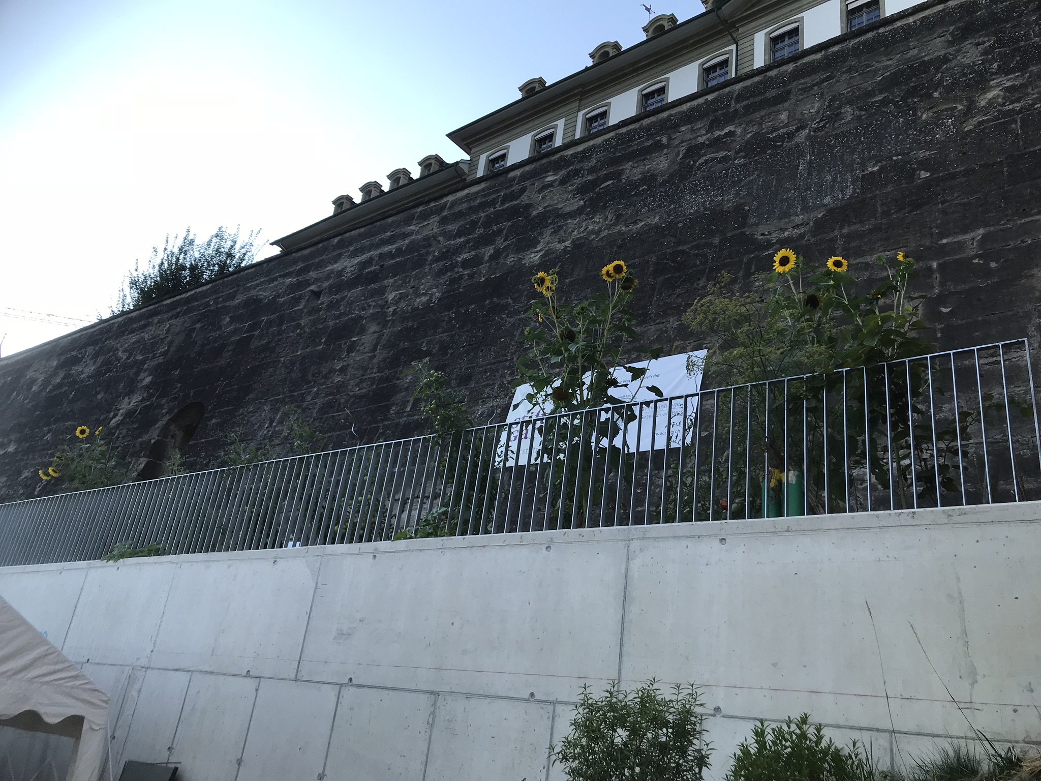 Abendsaufnahme aus der Dokumentation «ProSpecieRara Kurs «Saatgut-Gewinnung»», August 2018
