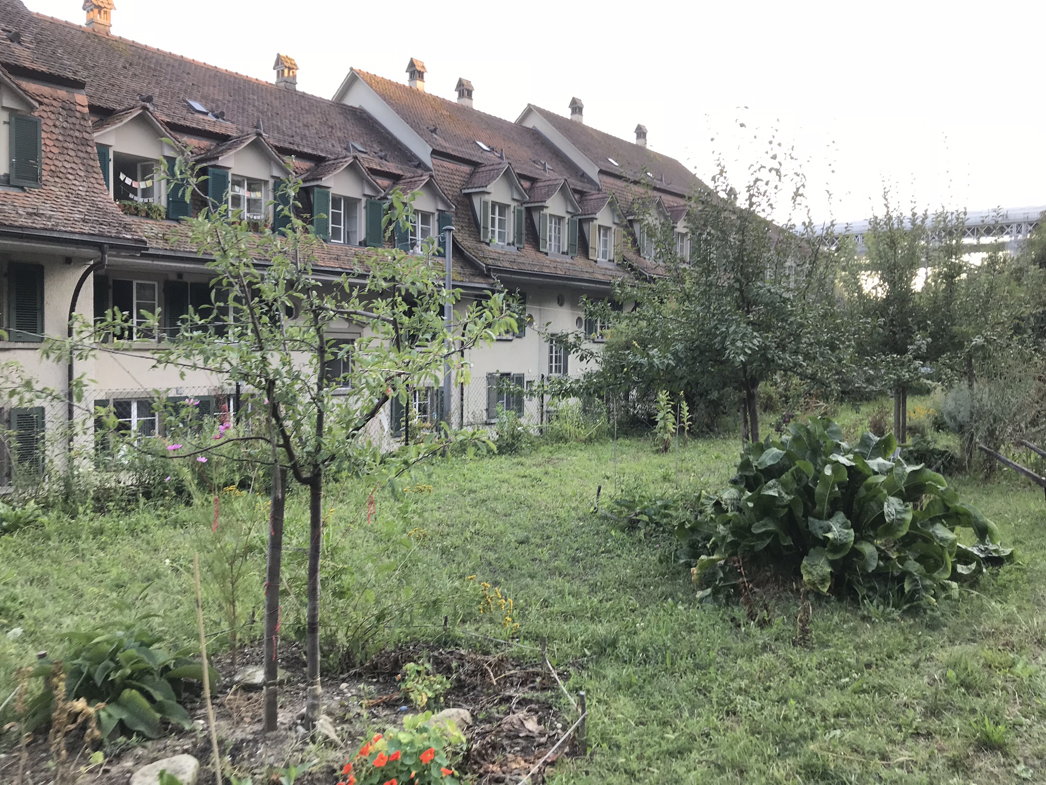 Teilnehmende oder Demonstration beim ProSpecieRara-Kurs zur Saatgut-Gewinnung im August 2018