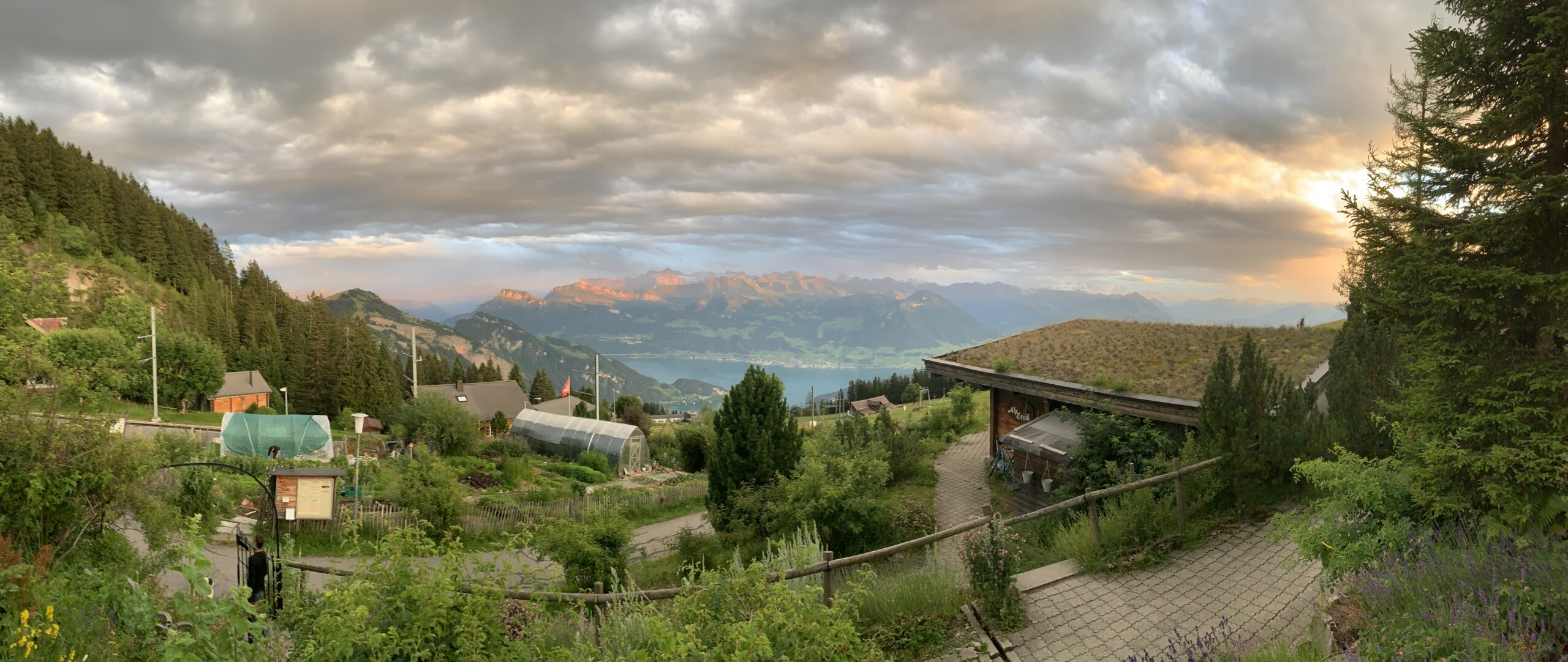 IMG_7810