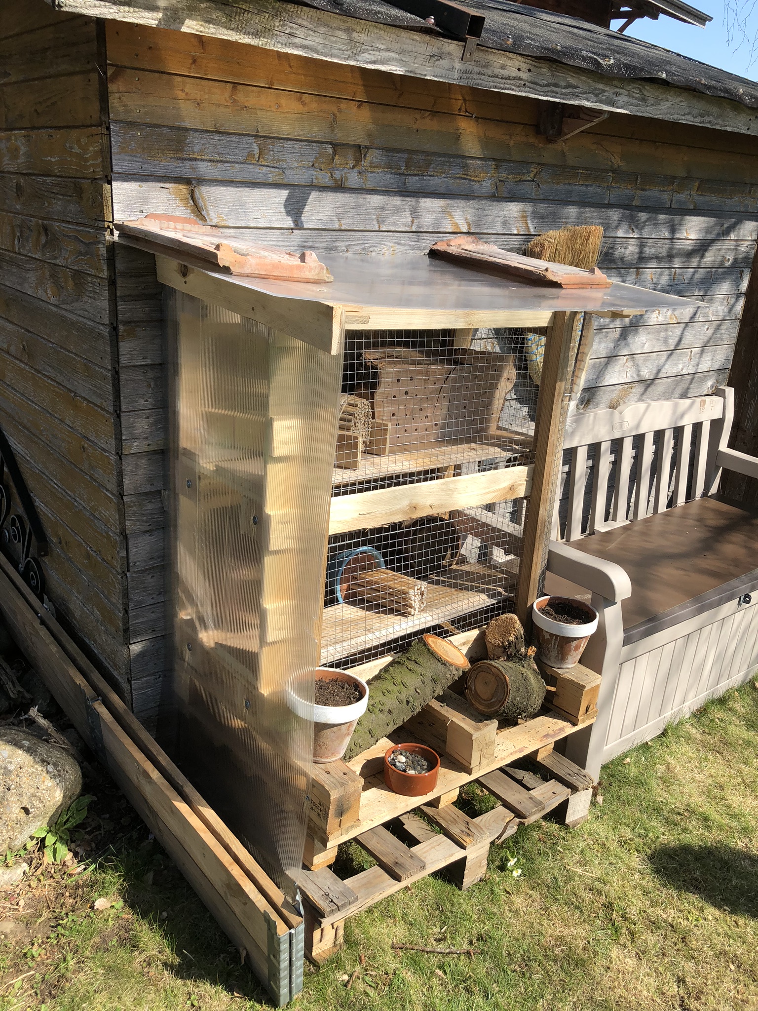 Aufnahme aus der Dokumentation «Insekten-Nisthilfe Schwarzenbach», März 2019, aufgenommen mit iPhone 8