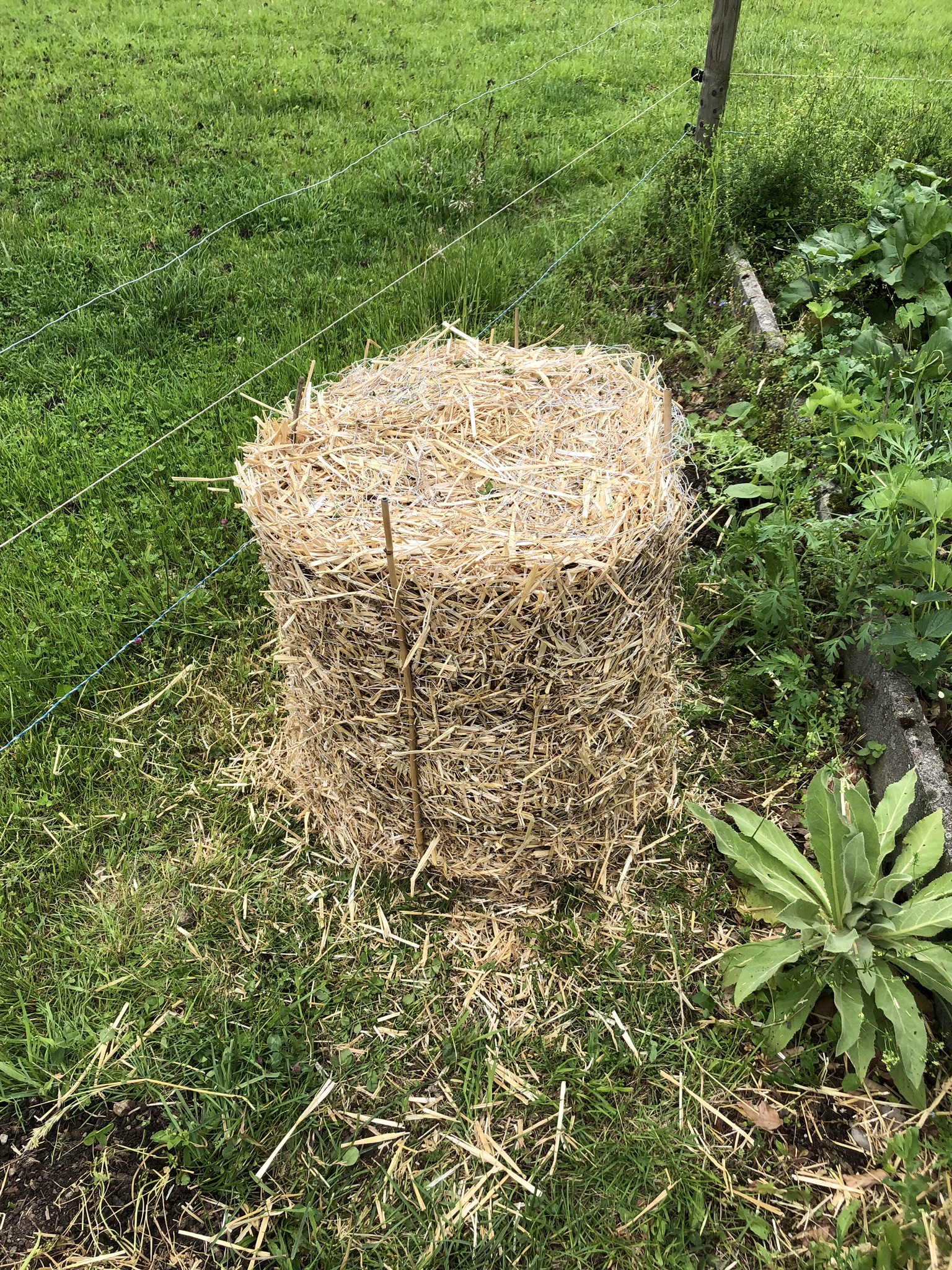 Kartoffeltürme aus Drahtgeflechten und Erde im Garten Schwarzenbach, aufgenommen im Mai 2019