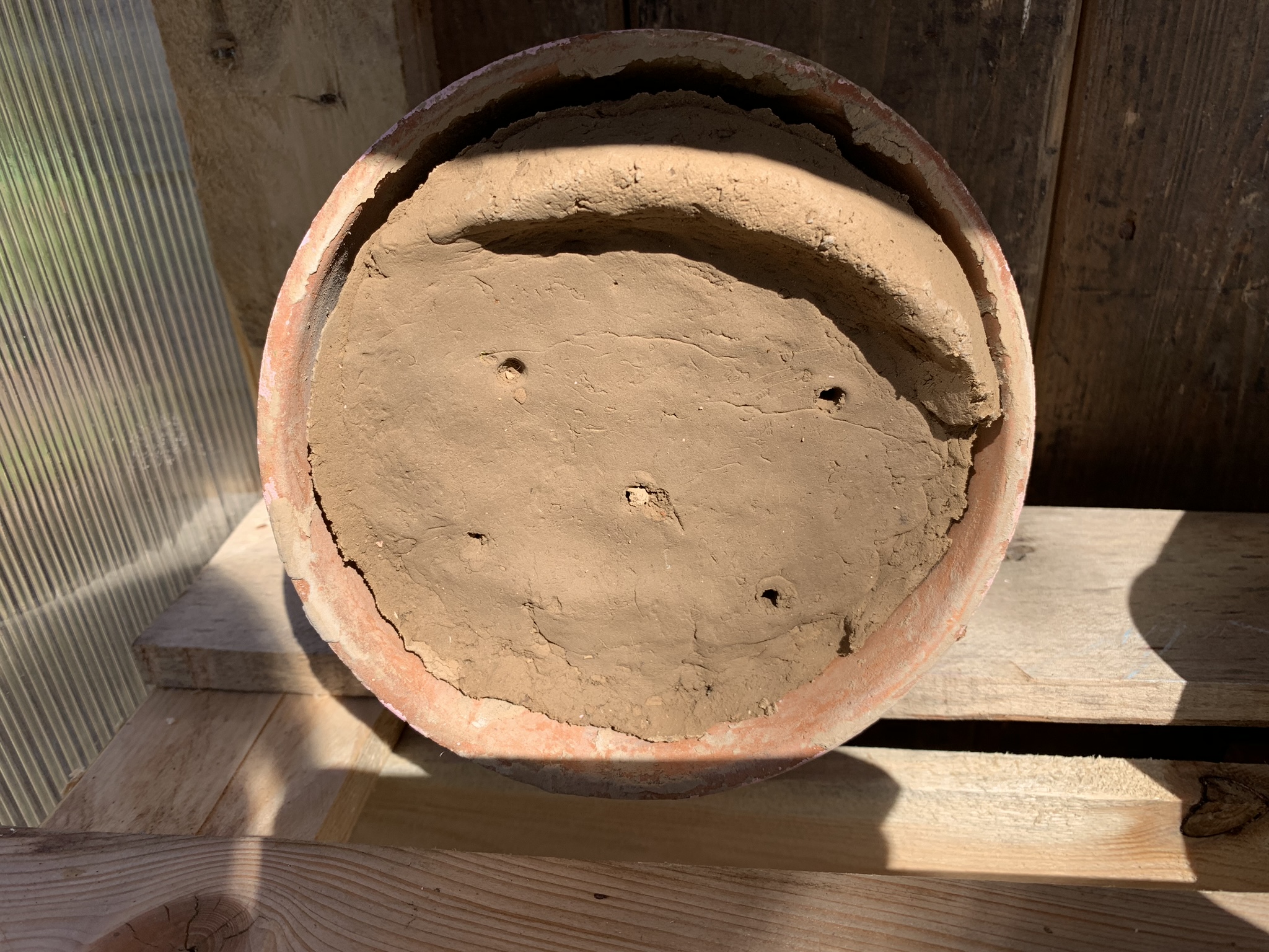 Aufnahme aus der Dokumentation «Insekten-Nisthilfe Schwarzenbach», März 2019, aufgenommen mit iPhone XS