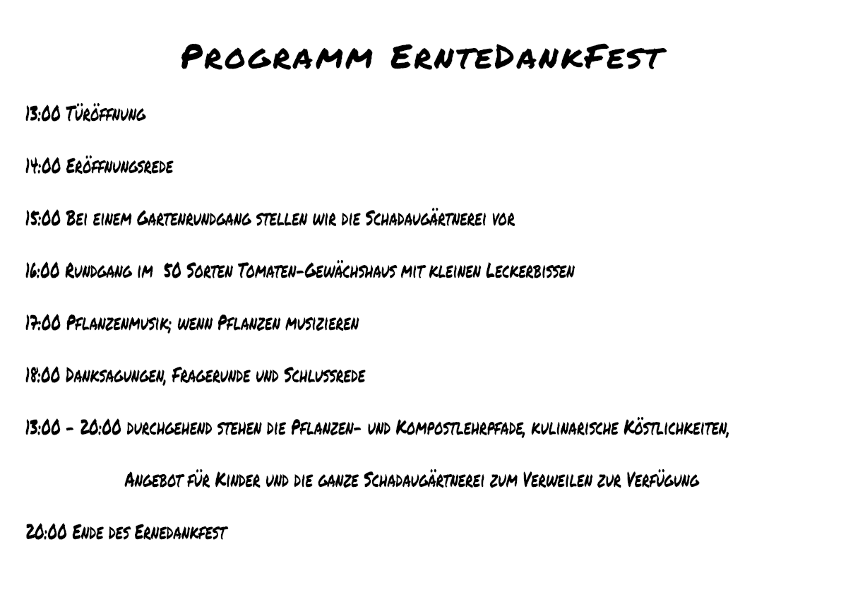Flyer oder Plakat: Programm Ablauf — digitale Ankündigung für eine Veranstaltung