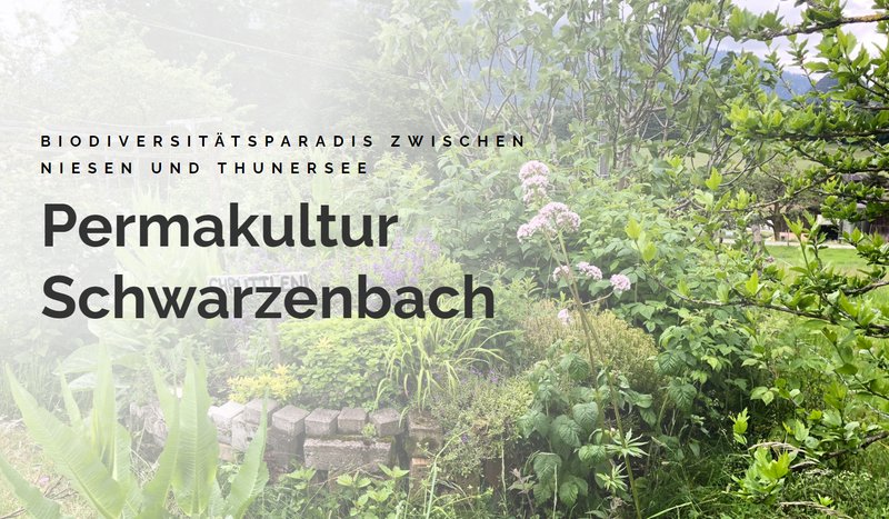 Bild «Permakultur Schwarzenbach Vorschau» — Portfolio- oder Dokumentationsbild für e-schmid.ch