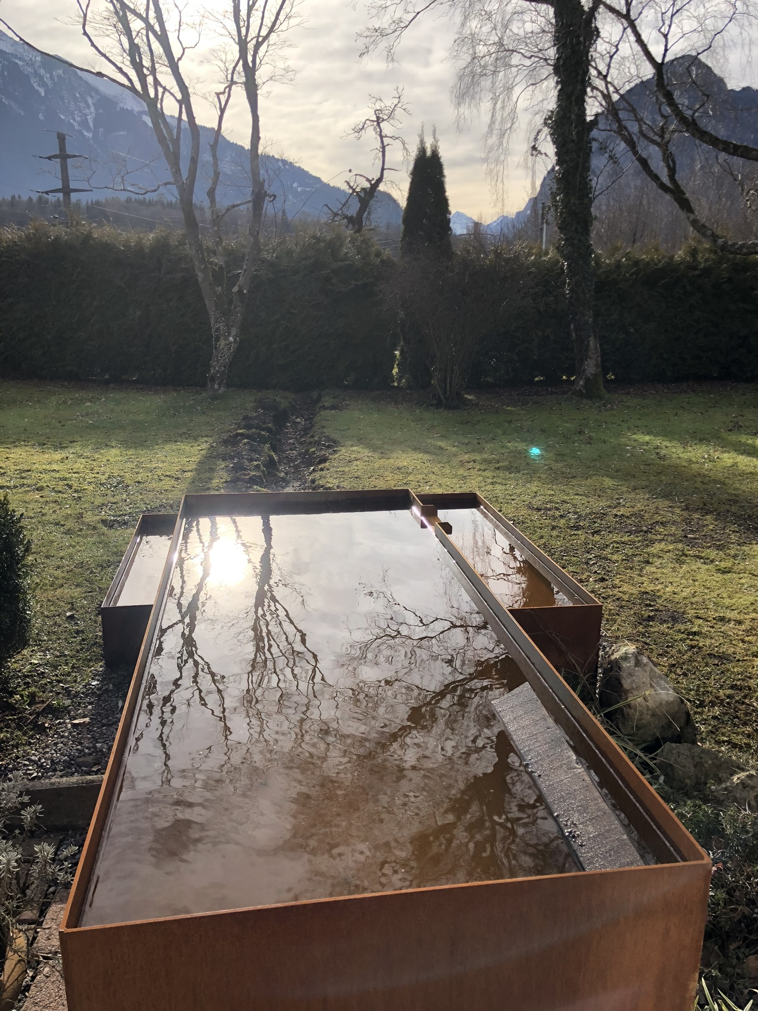Wo früher Zwetschgen standen: mein Einstieg in den Agroforst
