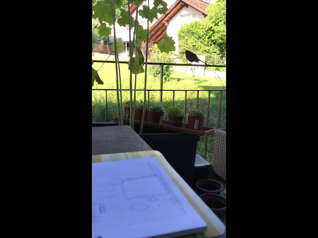 Ein Besuch am Morgen — immer wieder schön
