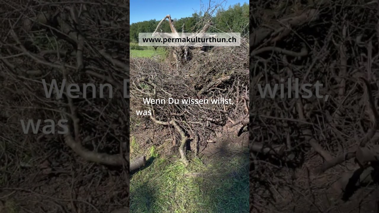 Permakultur Gartenkurs im Herbst — Einladung
